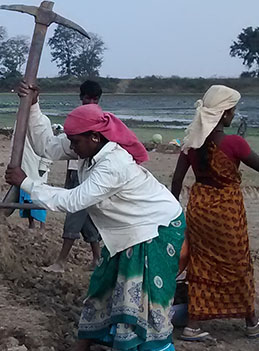 Rural Employment